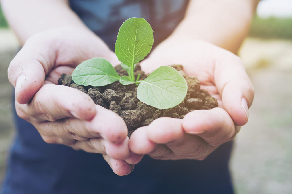 Tendencias que marcarán la gobernanza corporativa en 2024, según PwC. ESG - criterio medioambiental