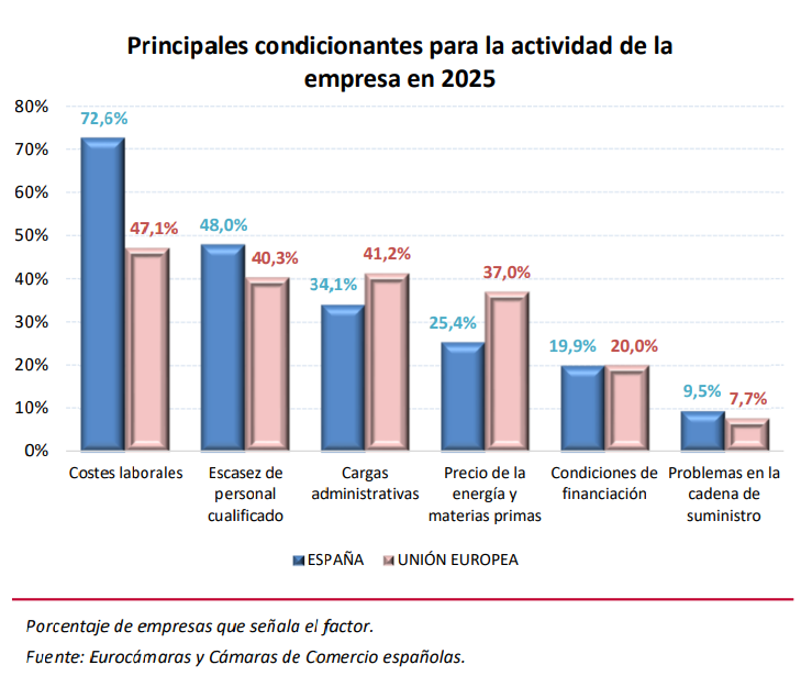 Gráfico principales condicionanates para la actividad de la empresa en 2025.